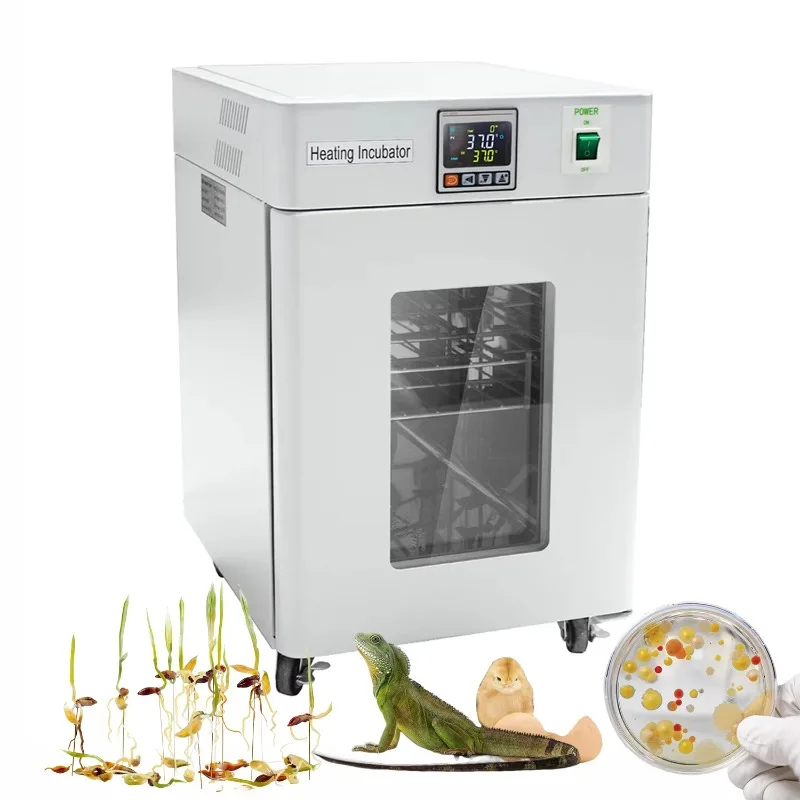 Medical Lab Microbiology - WEIAI 20L Biological Indicator Thermostatic Medical