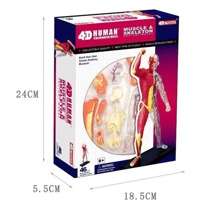 4d Master Human Muscle Skeleto - Medical Lab Technology recension och pris