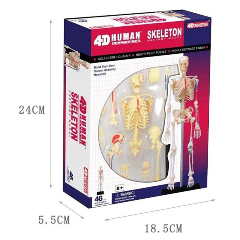 4d Human Full Skeleton Anatomy - Medical Lab Technology recension och pris