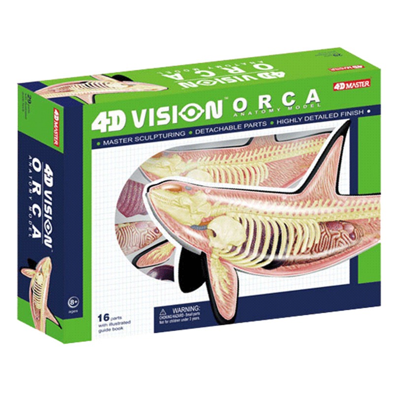 4D Vision Orca Whale Skeleton  - Medical Lab Technology recension och pris